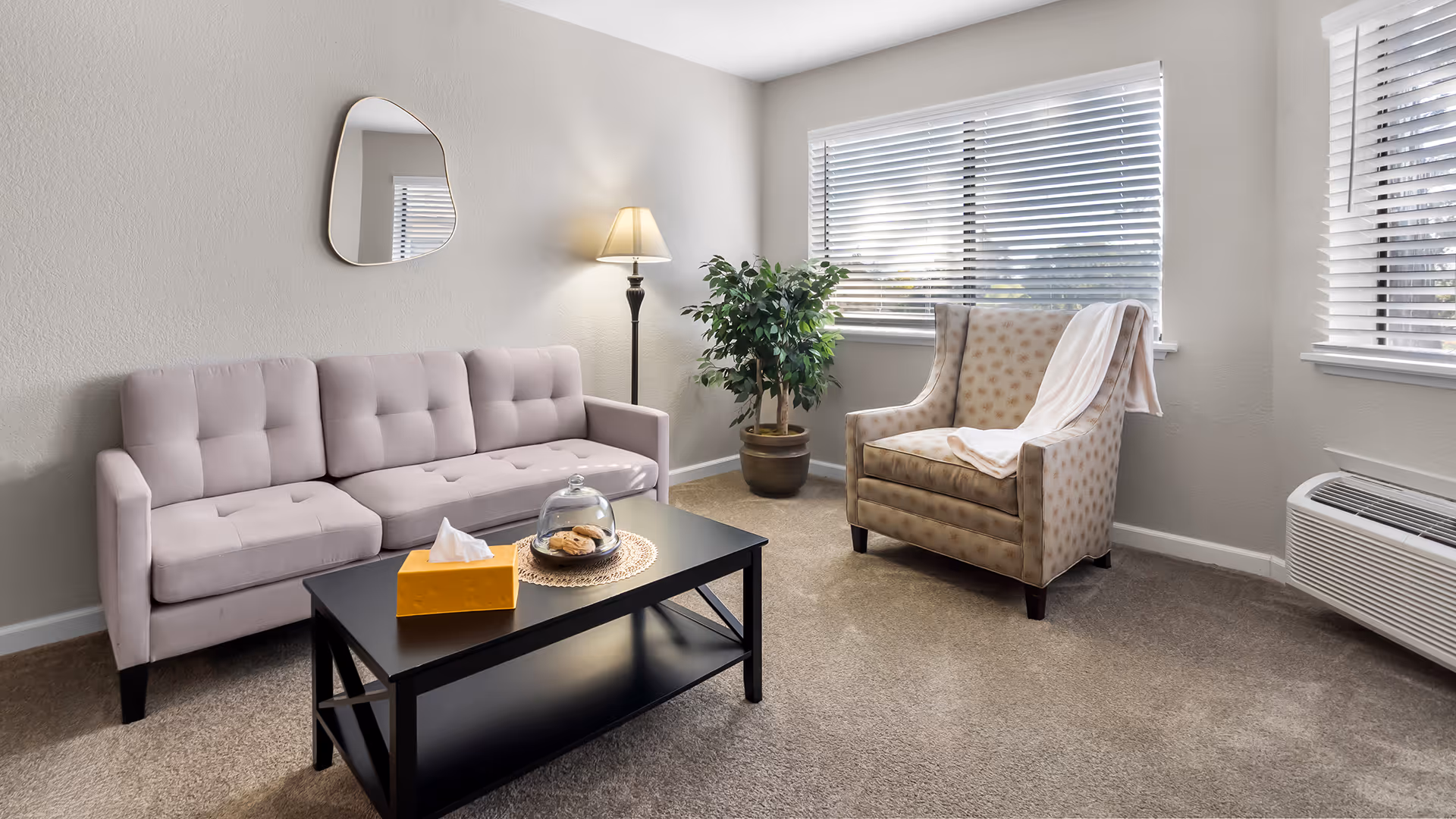 Bright living room featuring a light-gray sofa, patterned armchair, coffee table with a tissue box and pastries, floor lamp and potted plant.