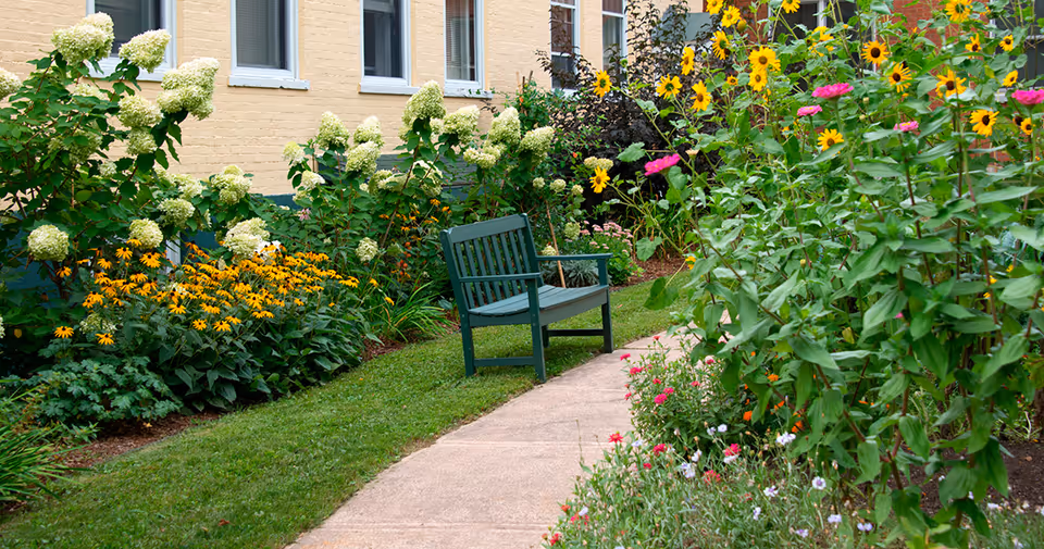 A garden pathway with a green bench along the side, surrounded by blooming flowers including yellow and white blossoms, next to a beige brick building with windows.