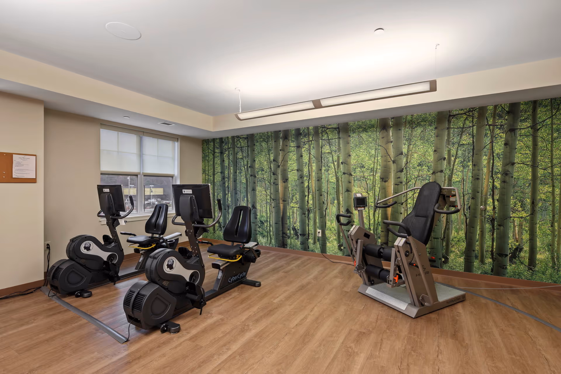Exercise room with two recumbent stationary bikes, a resistance machine, wood floor and a forest mural on the back wall.