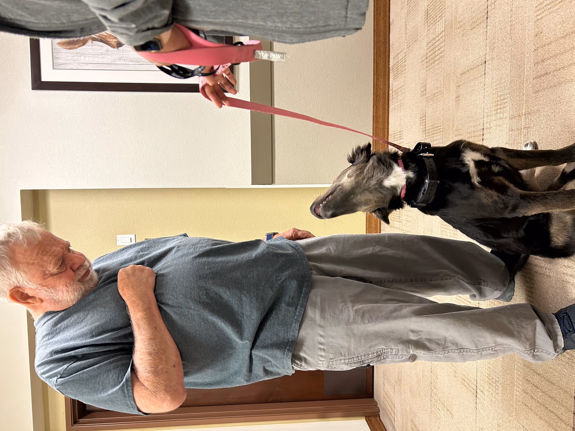 An elderly man in a gray t-shirt and beige pants is looking down at a black and white dog sitting on the carpeted floor. The dog is looking up at the man. A person on the right side of the image is holding the dog's pink leash. The setting appears to be an indoor hallway with beige walls and a framed picture on the wall.