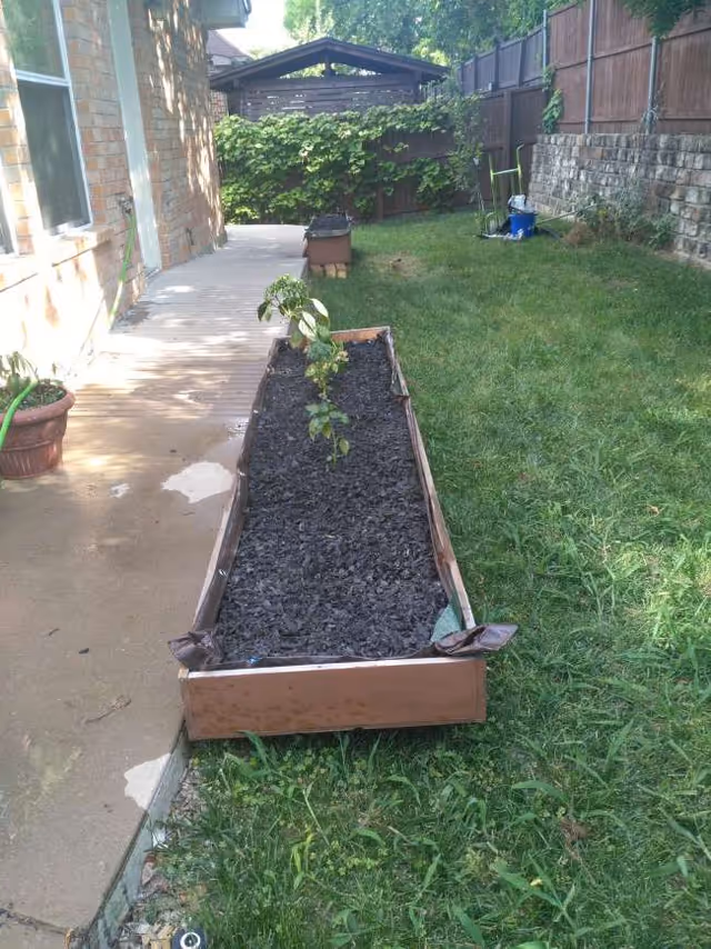 Outdoor area at Eckelberry Elder Care with a raised garden bed beside a walkway