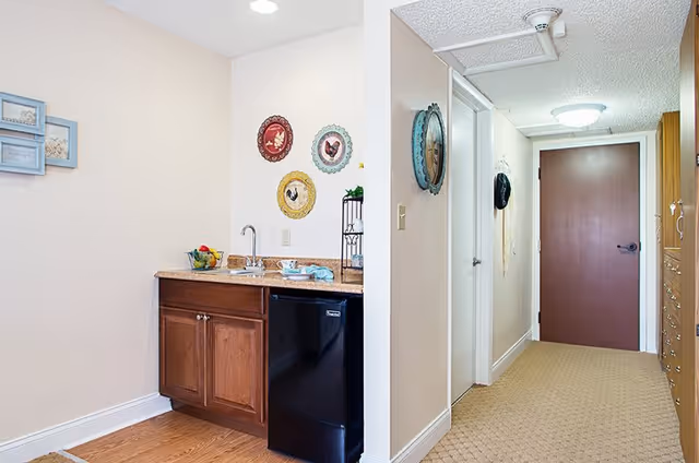 A small kitchenette area with a wooden cabinet, granite countertop, a sink, and a black mini refrigerator. The wall above the countertop is decorated with three colorful round plates featuring rooster designs. To the right, there is a hallway with a brown door at the end, beige carpet, and light-colored walls with some wall decorations.
