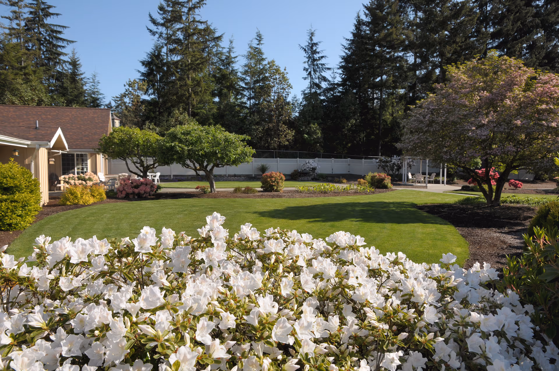 A well-maintained outdoor garden area with a lush green lawn, white flowering bushes in the foreground, various trees including one with pink blossoms, and a beige building with a brown roof on the left side. There are chairs and a small table near the building and a white fence in the background with tall evergreen trees behind it.
