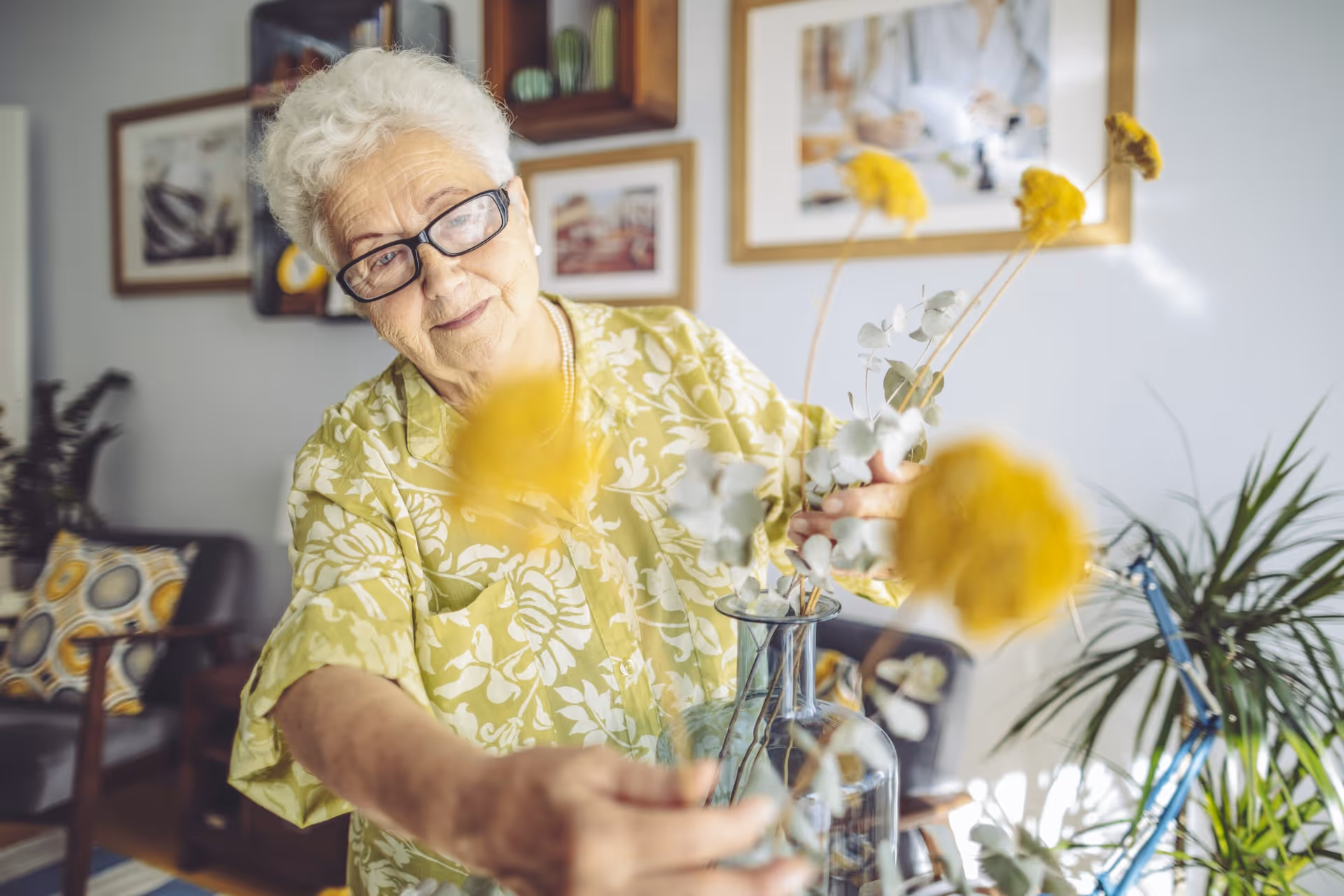 An elderly woman with white hair and glasses arranging yellow flowers in a glass vase inside a cozy living room with framed pictures on the wall and a plant in the background.