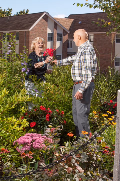 An elderly man and woman are standing in a vibrant garden filled with various colorful flowers and green plants. The man is handing a red flower to the smiling woman. Behind them is a brick building with multiple windows under a clear blue sky.