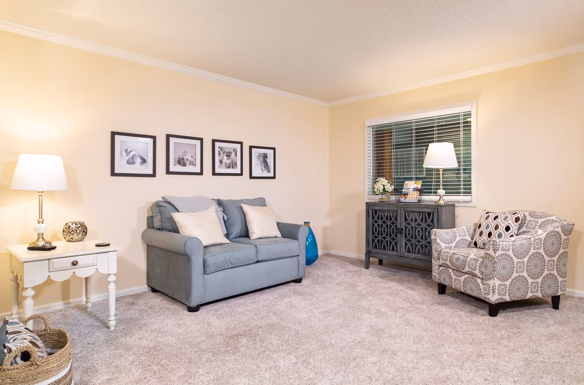 A cozy living room with beige walls and carpeted floor. The room features a light blue loveseat with two cream pillows, a patterned armchair, a white side table with a lamp and decorative items, and a gray cabinet with a lamp and flowers on top. Four black-and-white framed pictures of dogs hang on the wall above the loveseat. A window with white blinds is behind the cabinet.
