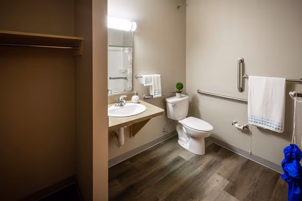 A clean, accessible bathroom with a toilet, a sink with a countertop, a mirror above the sink, grab bars on the walls, a towel rack with a white towel, and a small green plant on the toilet tank. The floor has wood-like vinyl flooring and there is an open closet space visible on the left side.