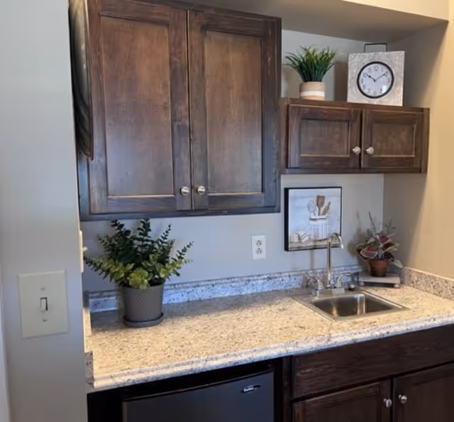 A small kitchen area with dark wooden cabinets, a granite countertop, a small stainless steel sink with a faucet, a potted plant on the left side of the counter, a clock and another potted plant on the upper cabinets, and a framed picture on the wall above the sink.
