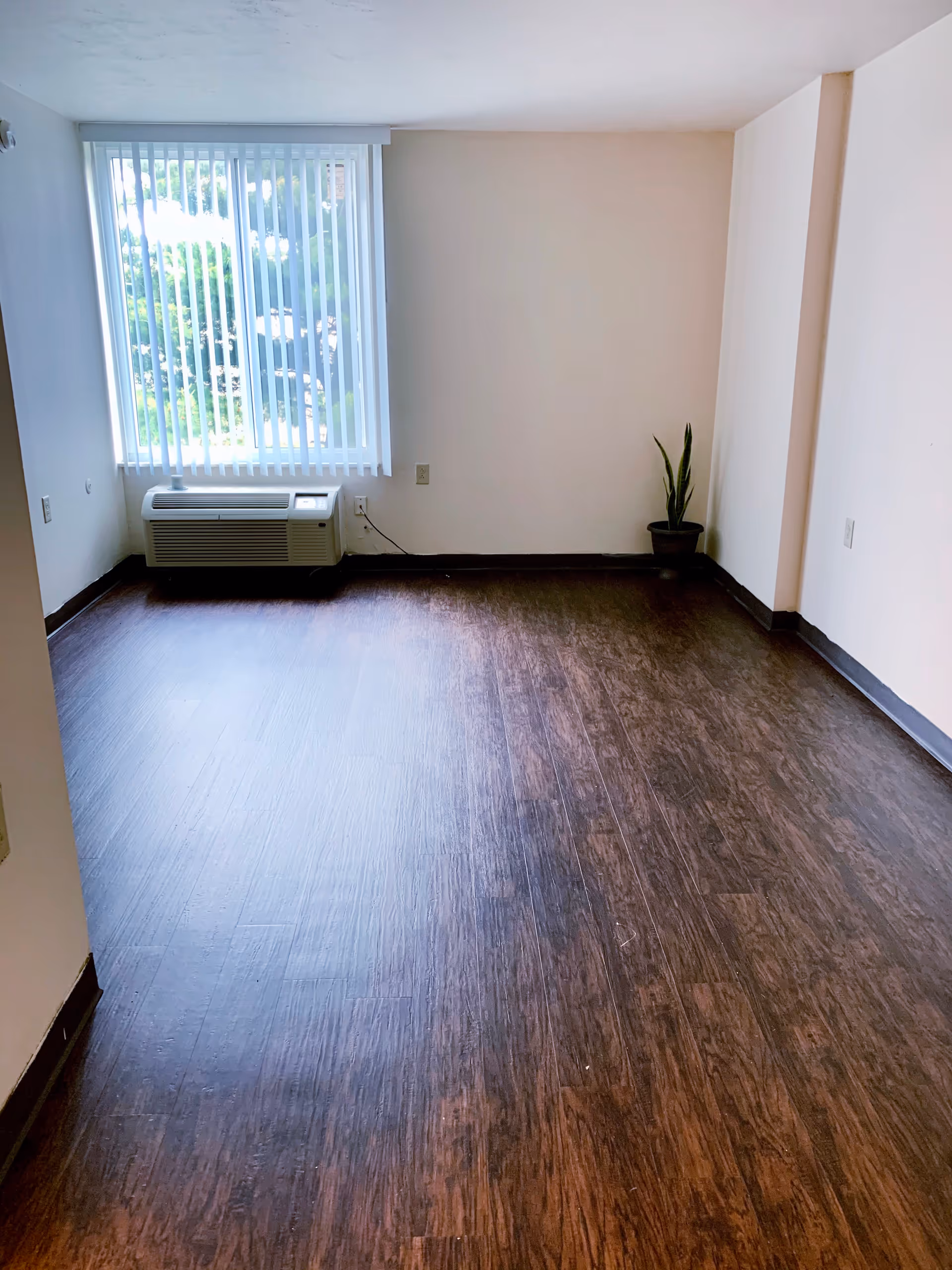 Empty room with dark wood flooring, beige walls, a large window with vertical blinds, an air conditioning unit below the window, and a small potted plant in the corner.