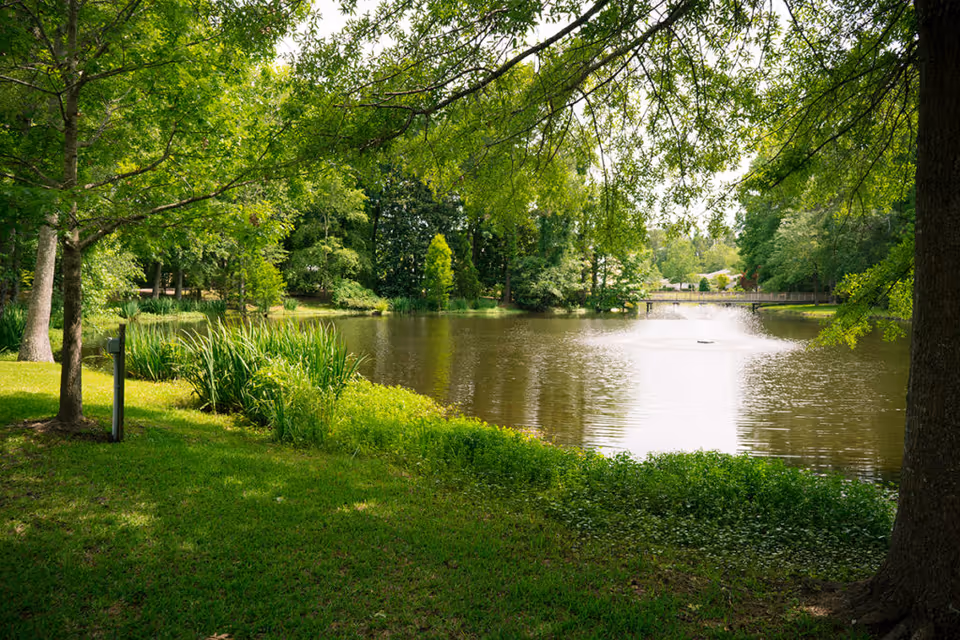 A peaceful outdoor scene featuring a small lake with a water fountain in the center, surrounded by lush green trees and grass. A wooden bridge is visible in the background across the lake.