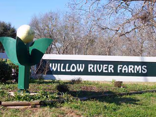 Outdoor entrance sign reading Willow River Farms with a large green flower sculpture.