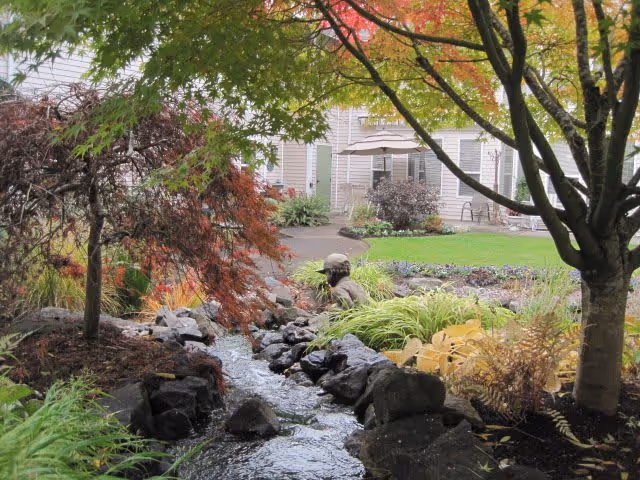 A serene garden area at Hearthstone of Beaverton featuring a small flowing stream bordered by rocks and lush greenery. Trees with green and red leaves frame the scene, and a beige building with a patio and umbrella is visible in the background.