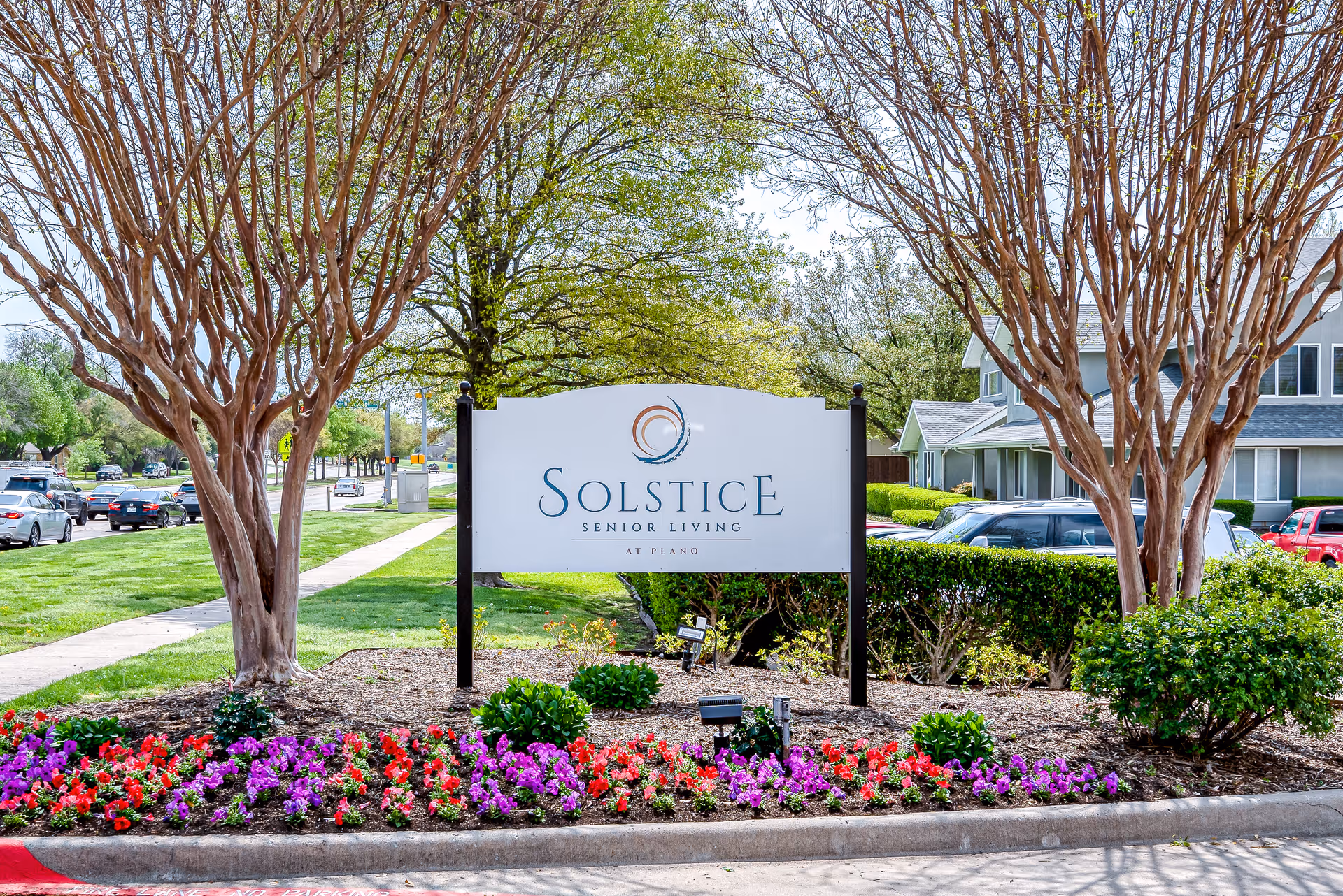 Outdoor view of the entrance sign for Solstice Senior Living at Plano, surrounded by colorful flowers, trimmed bushes, and two leafless trees with a street and parked cars in the background.