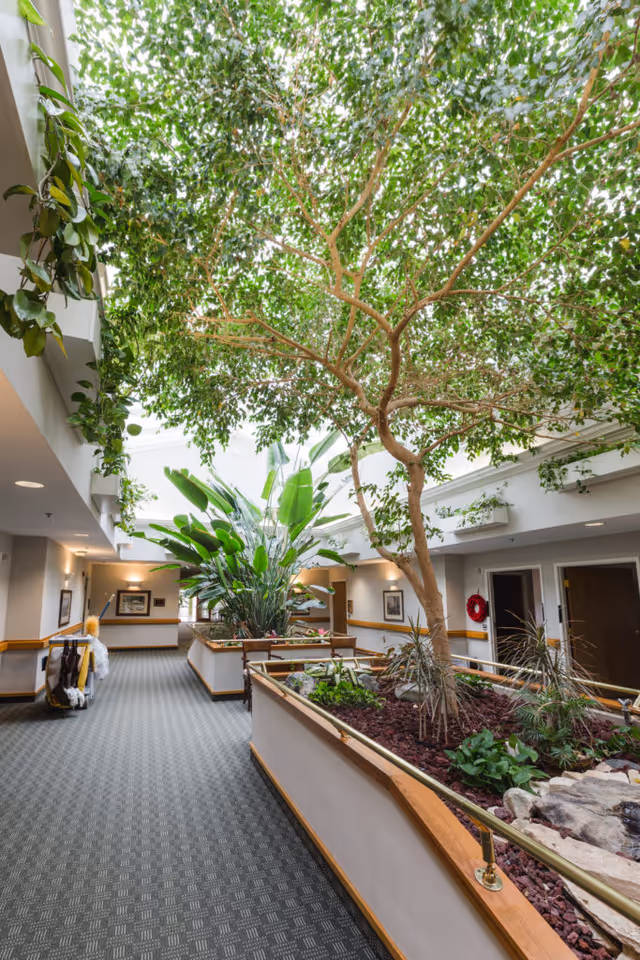 Indoor hallway of The Towne House Retirement Community featuring large planters with lush green plants and a tall tree under a skylight, with carpeted floors and walls decorated with framed pictures.