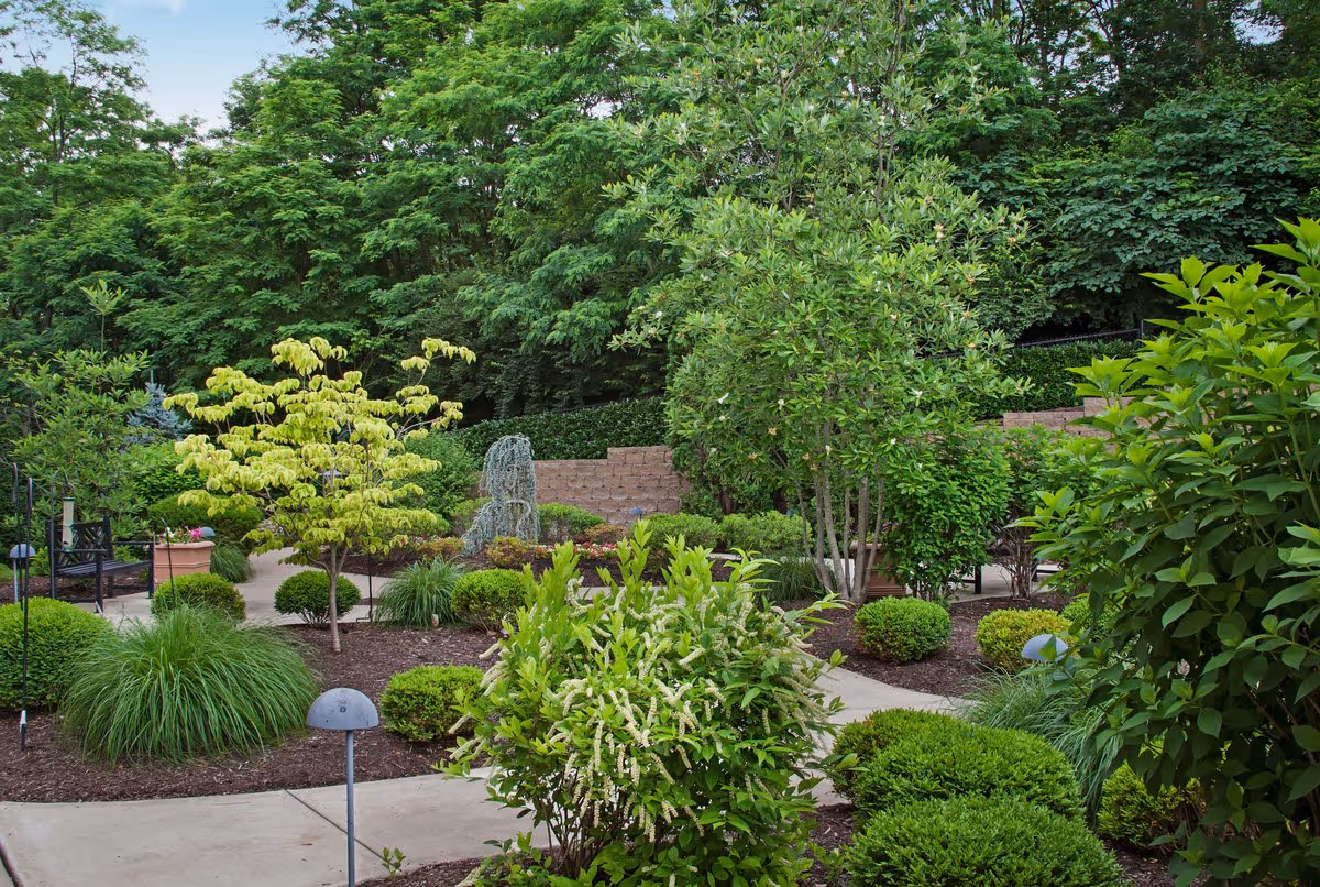 A well-maintained garden area with various green shrubs, small trees, and plants surrounding a paved walkway. There are benches and a small decorative fountain in the background, with dense trees providing a lush backdrop.
