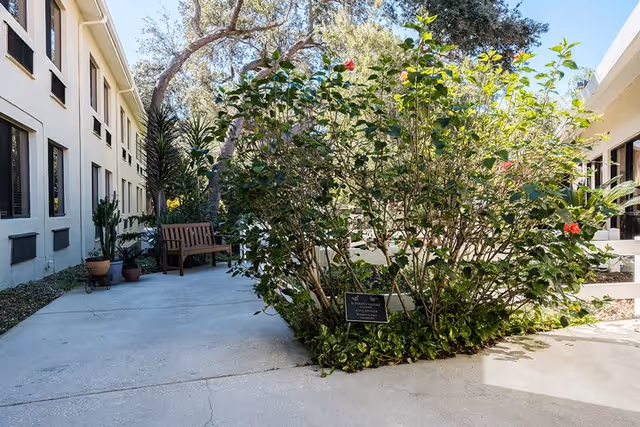 Outdoor courtyard area at Volante of Dunedin featuring a concrete pathway, a wooden bench, potted plants, and a large flowering bush with red flowers. The courtyard is surrounded by building walls with windows and shaded by trees.