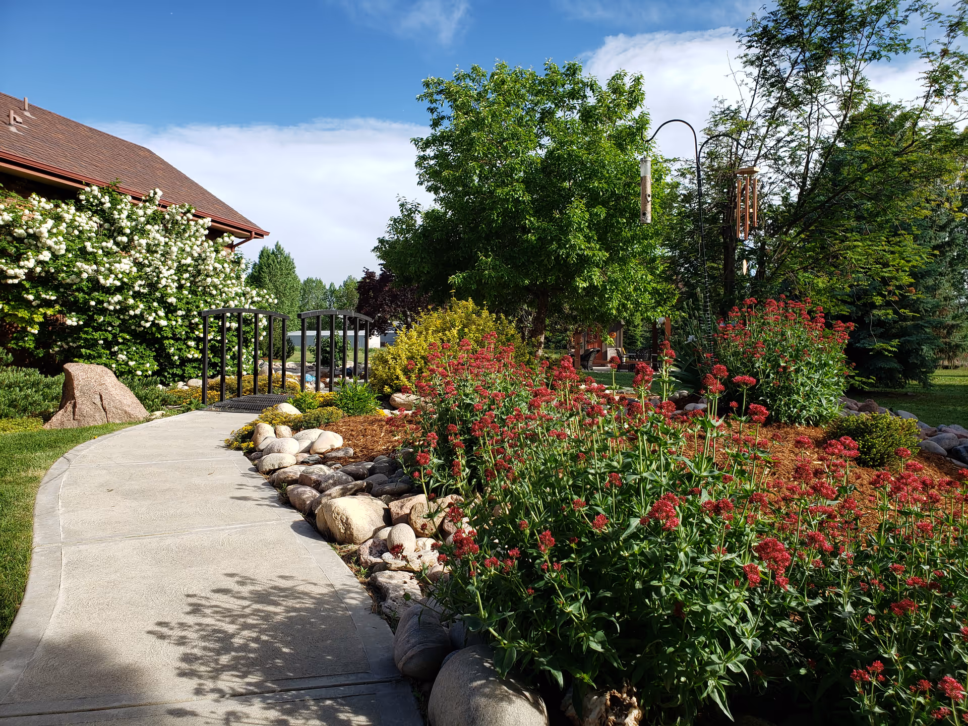 Sunlit landscaped garden walkway with stone borders, red flowering plants, a small metal bridge and bird feeders beside a building.