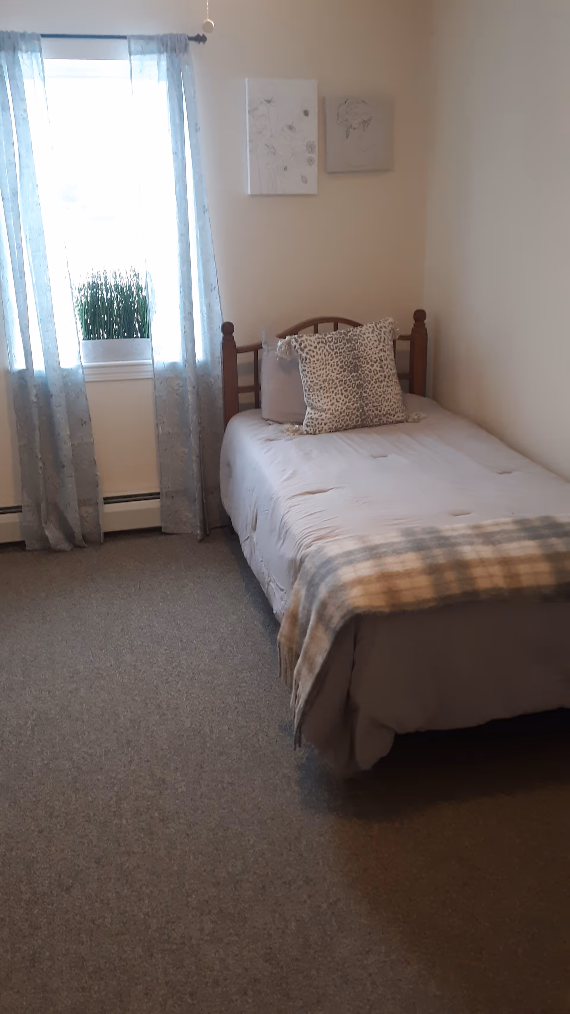 Small bedroom with a single bed against the wall, decorative pillows, a window with sheer curtains and a potted plant on the sill.