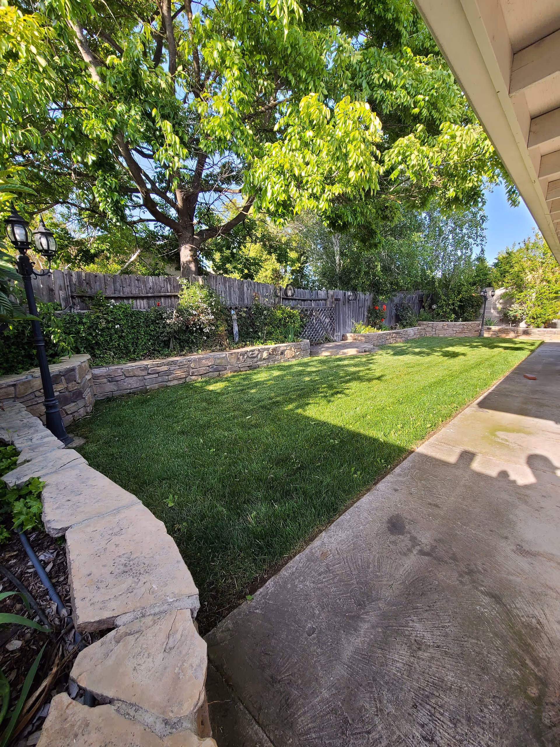A well-maintained backyard garden area with a lush green lawn, stone retaining walls, a wooden fence, and various trees and shrubs. There is a concrete patio area on the right side with shadows cast on it, and a vintage-style black lamp post on the left near the stone wall.
