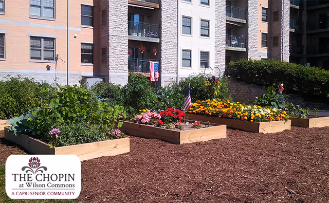 Raised garden beds with various flowers and plants in front of a multi-story senior living facility building. The garden beds are surrounded by mulch, and an American flag is visible among the plants.