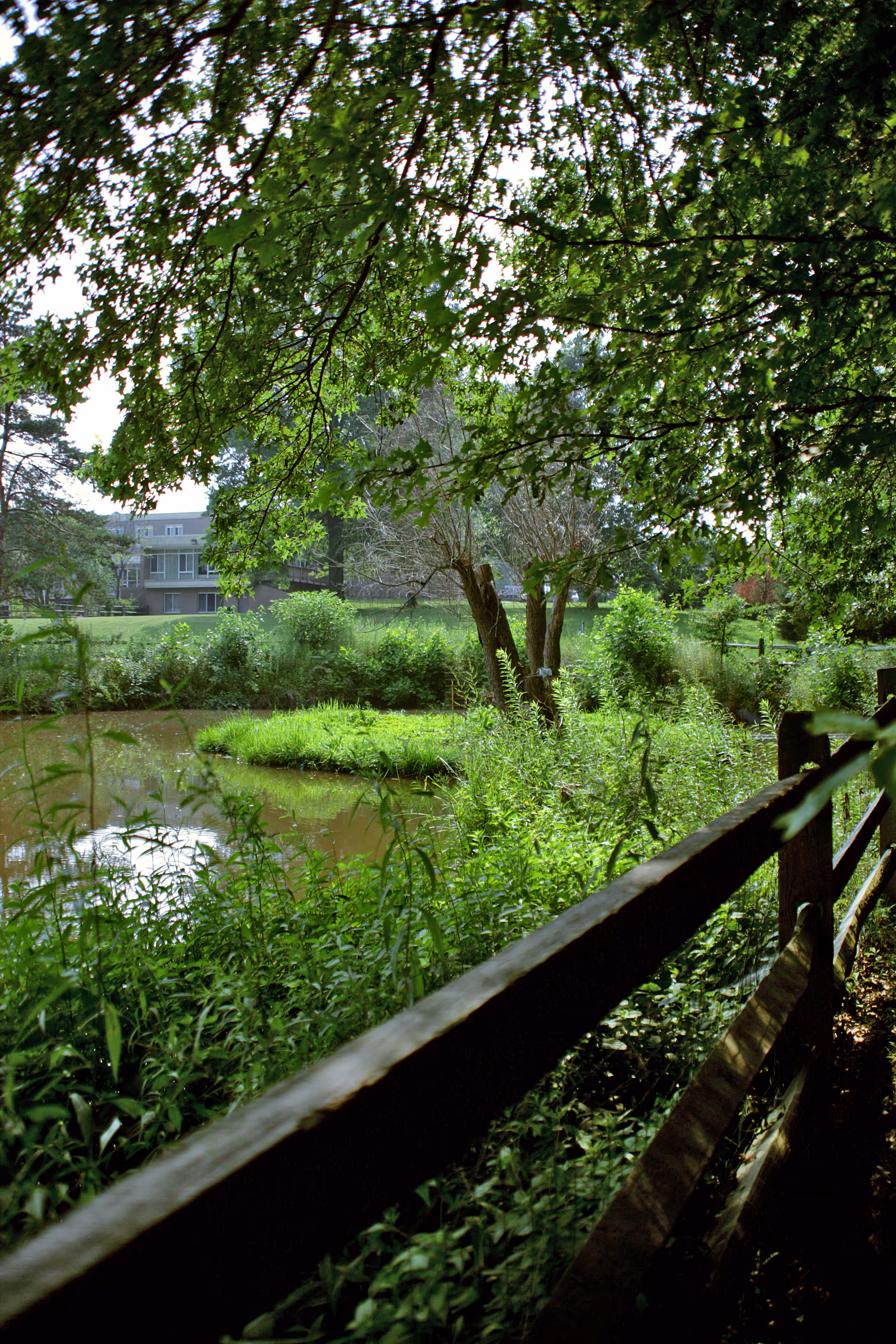 A peaceful outdoor scene featuring a small pond surrounded by lush green vegetation and trees. A wooden fence runs along the right side of the image, and a building is visible in the background beyond the greenery.