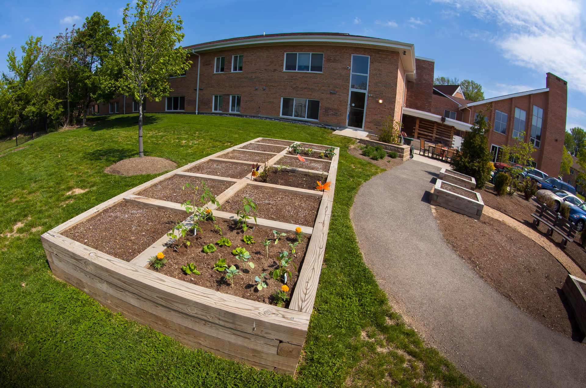 Raised garden beds with young plants and flowers in a grassy outdoor area next to a brick building under a blue sky with some clouds. There is a paved pathway, benches, and parked cars visible in the background.