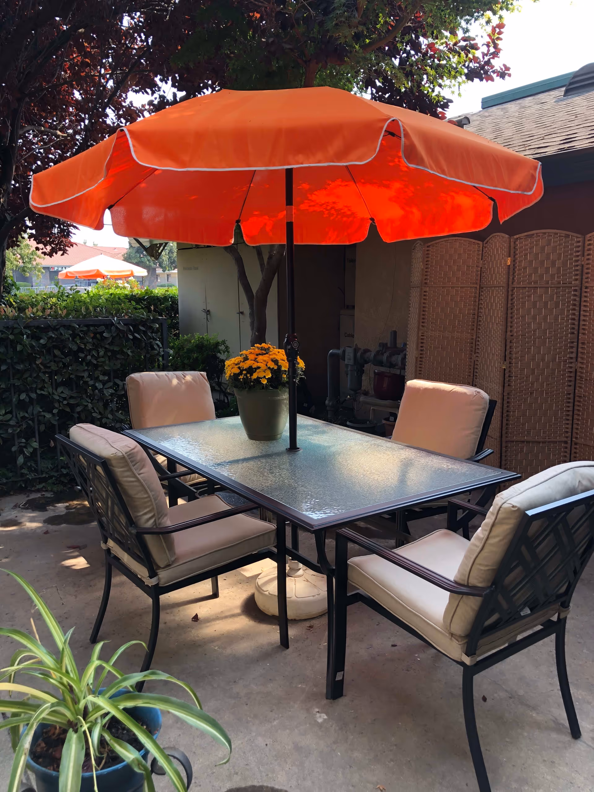 Outdoor patio area with a glass-top table surrounded by four cushioned chairs. A large orange umbrella is centered on the table providing shade. A potted plant with yellow flowers sits on the table. Surrounding greenery and a privacy screen are visible in the background.