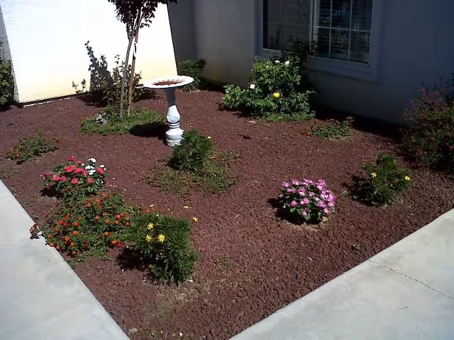 A small garden area with various flowering plants and shrubs planted in reddish-brown mulch, bordered by concrete walkways. A white birdbath stands near the center of the garden, and a building wall with a window is visible in the background.