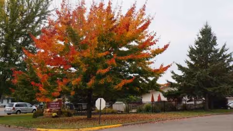 Exterior view of Oakbrook Health & Rehabilitation with autumn trees and parked cars.