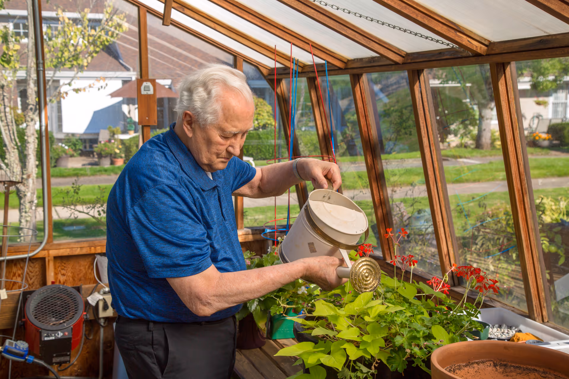 An elderly man wearing a blue shirt waters plants inside a sunroom or greenhouse with large windows showing a garden outside.