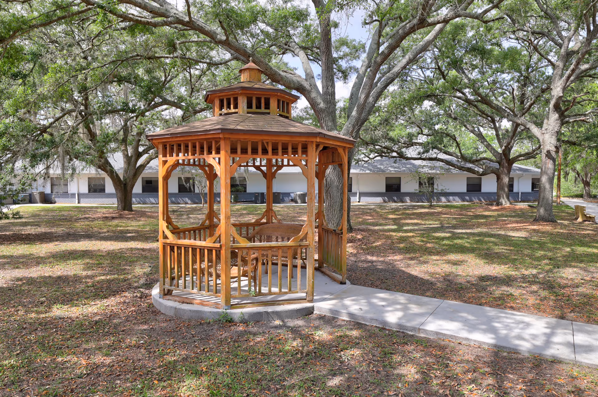 Wooden gazebo on a concrete pad surrounded by large oak trees and lawn with a single-story building in the background.