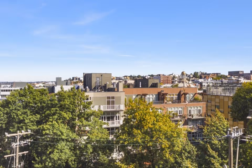 View over treetops toward mid-rise apartment buildings and a distant city skyline under a clear blue sky.