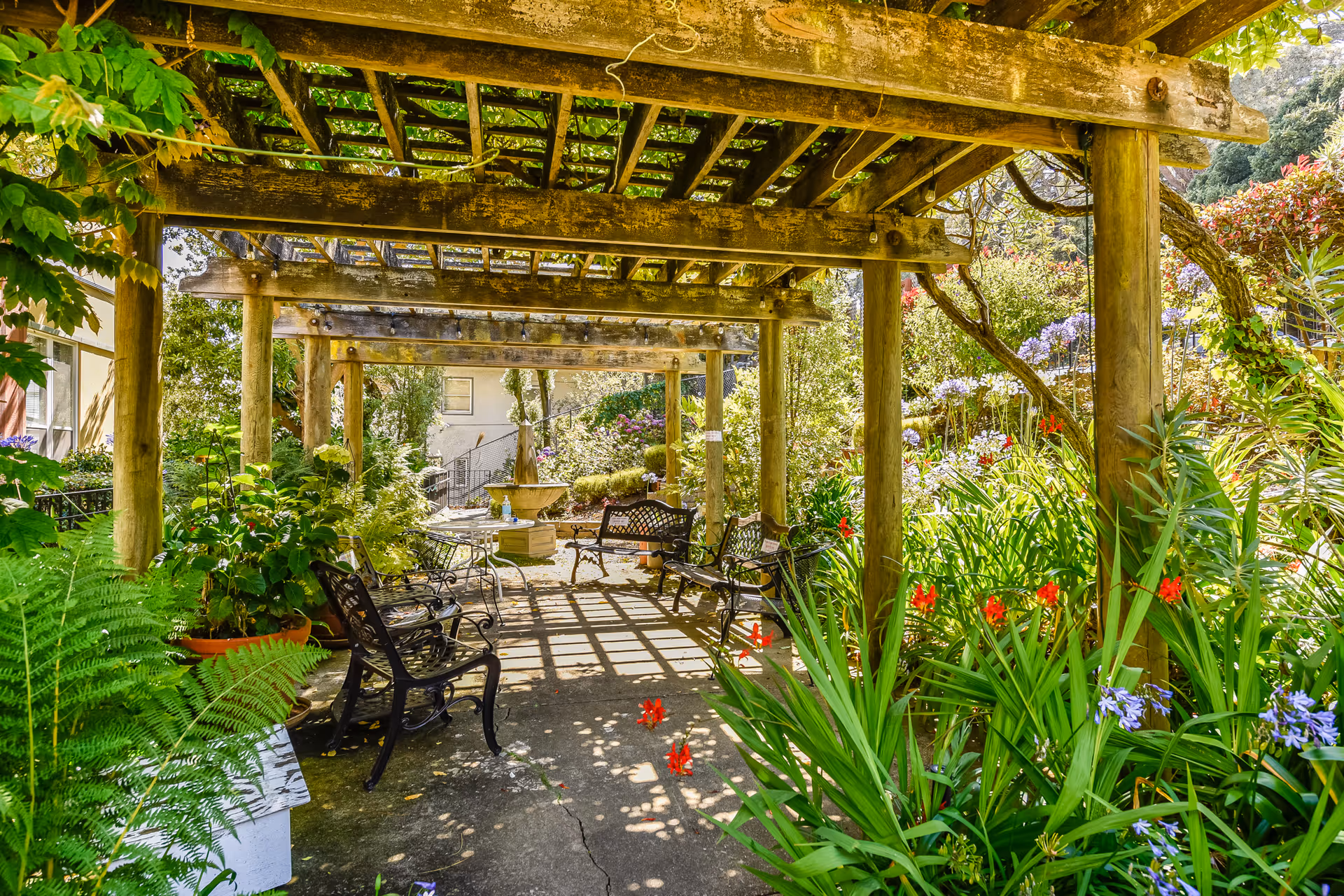 A shaded outdoor seating area with wooden pergola overhead, surrounded by lush green plants and colorful flowers. Several black metal benches and a small table are placed on a concrete pathway. The garden is vibrant with various plants and flowers, creating a peaceful and inviting atmosphere.