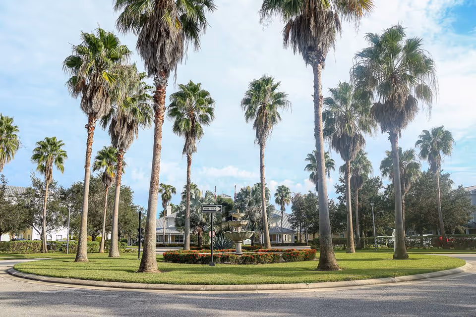 A landscaped roundabout with tall palm trees and a multi-tiered fountain in the center, surrounded by green grass and flower beds. In the background, there are buildings and more trees under a partly cloudy sky.