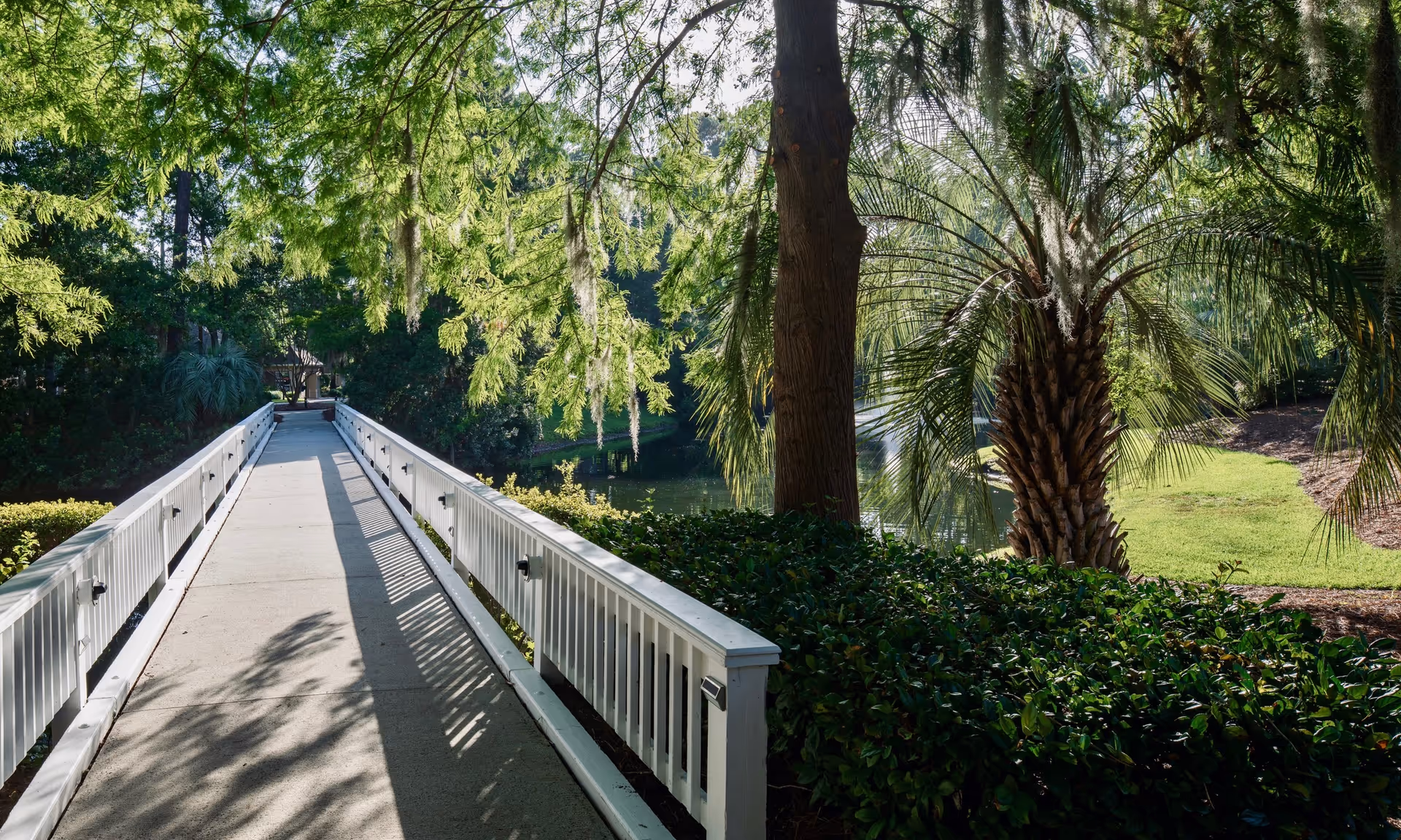 A sunlit concrete walkway with white railings on both sides, leading through a lush green garden area with various trees including palm trees and other greenery, with a small body of water visible in the background.