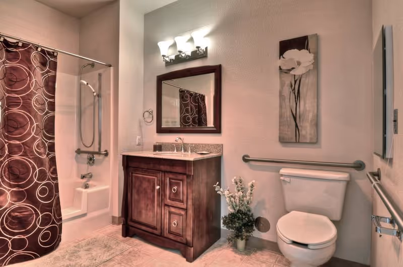 A bathroom with a bathtub and shower combination featuring a brown shower curtain with circular patterns. There is a wooden vanity with a granite countertop and a sink, above which hangs a rectangular mirror with a dark wooden frame. A light fixture with three bulbs is mounted above the mirror. To the right of the vanity is a toilet with a safety grab bar on the wall behind it and another grab bar on the adjacent wall. A decorative floral painting hangs above the toilet, and a small plant is placed on the floor next to the vanity.