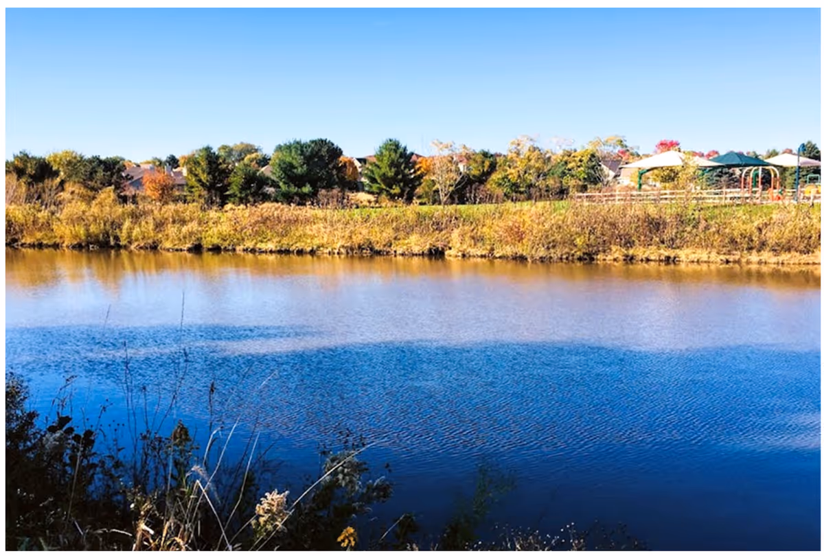 Calm pond with grassy shoreline and trees, houses and a playground visible across the water under a clear blue sky.