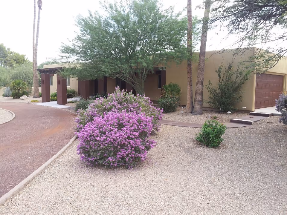 Exterior view of a single-story building with a beige facade and a brown garage door. The foreground features a gravel landscape with various green shrubs and a prominent bush with purple flowers. There are several tall palm trees and a large leafy tree near the building entrance.