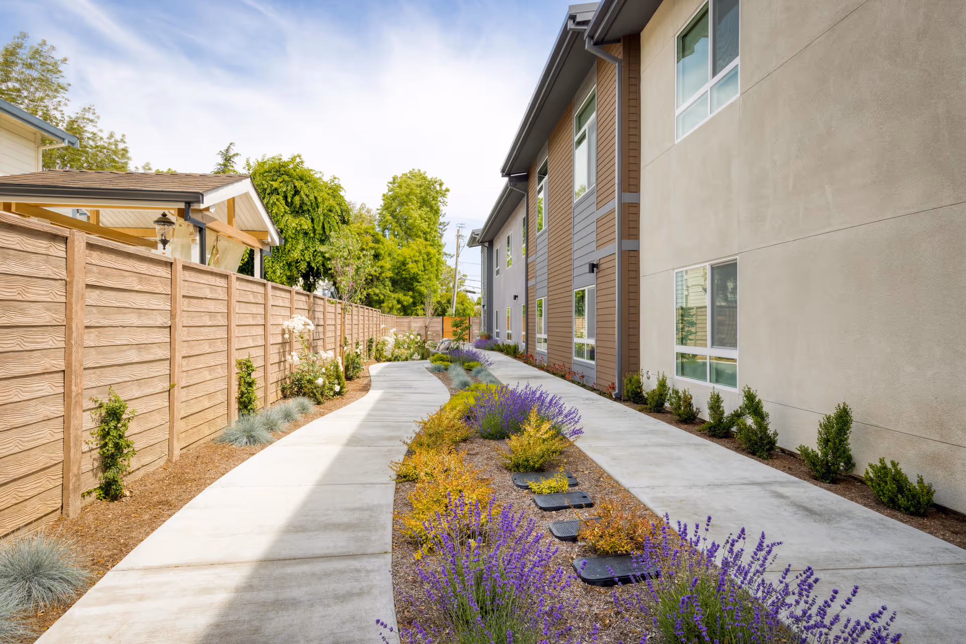 A paved outdoor walkway with a garden bed in the center filled with purple and yellow flowering plants. On the right side is a modern two-story building with multiple windows, and on the left side is a wooden fence with small shrubs and plants along the base. Trees and a partly cloudy sky are visible in the background.