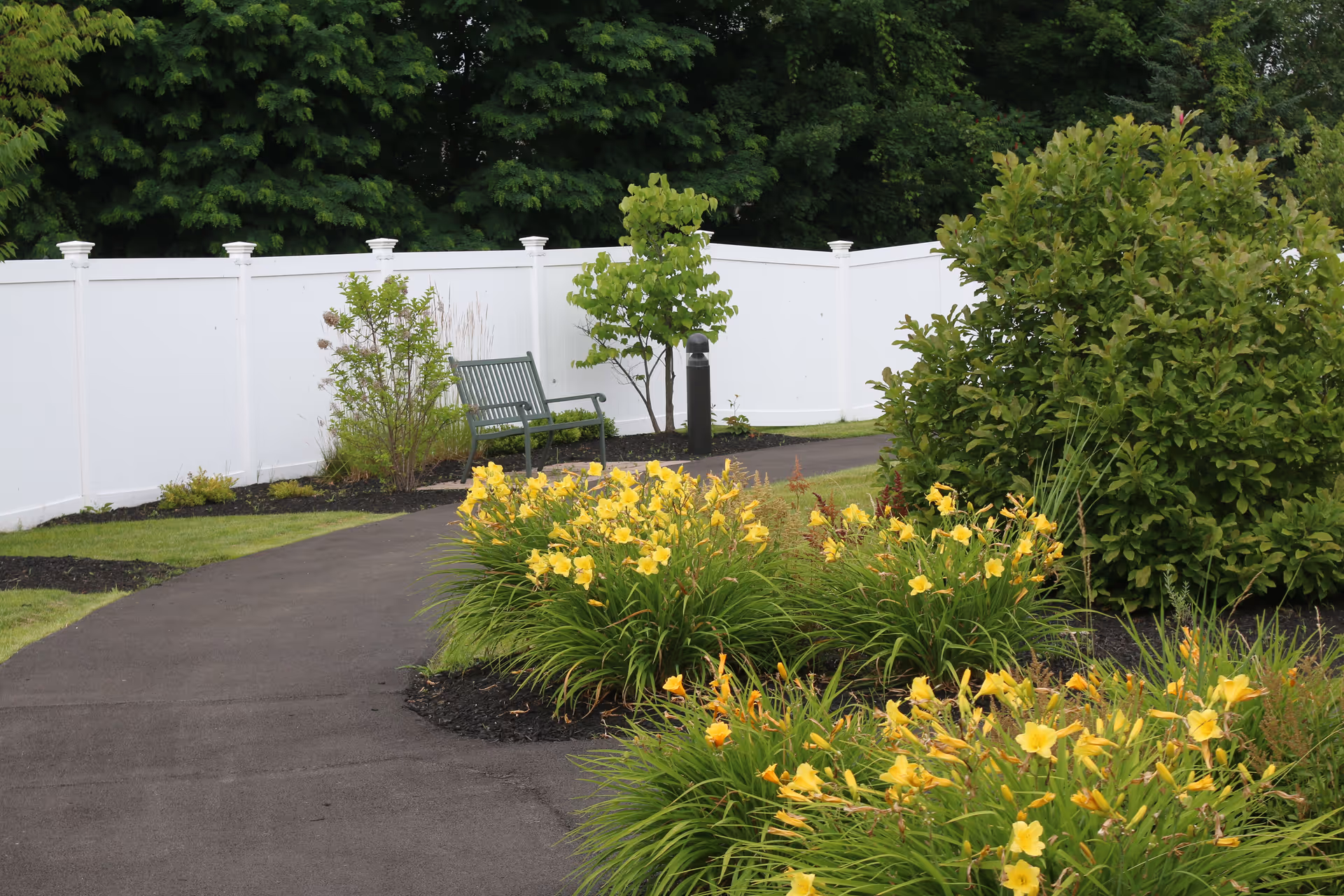 A paved garden pathway curves through a landscaped area with yellow flowers and green shrubs. A green bench is positioned near a white fence, with tall trees in the background.