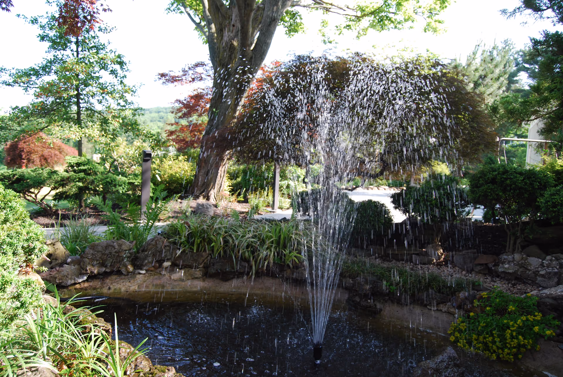A garden scene at Buchert Ridge Community featuring a small pond with a water fountain spraying water upwards. Surrounding the pond are various green plants, bushes, and trees, including a large tree with a thick trunk and some red-leaved trees in the background. The area appears lush and well-maintained with natural landscaping.