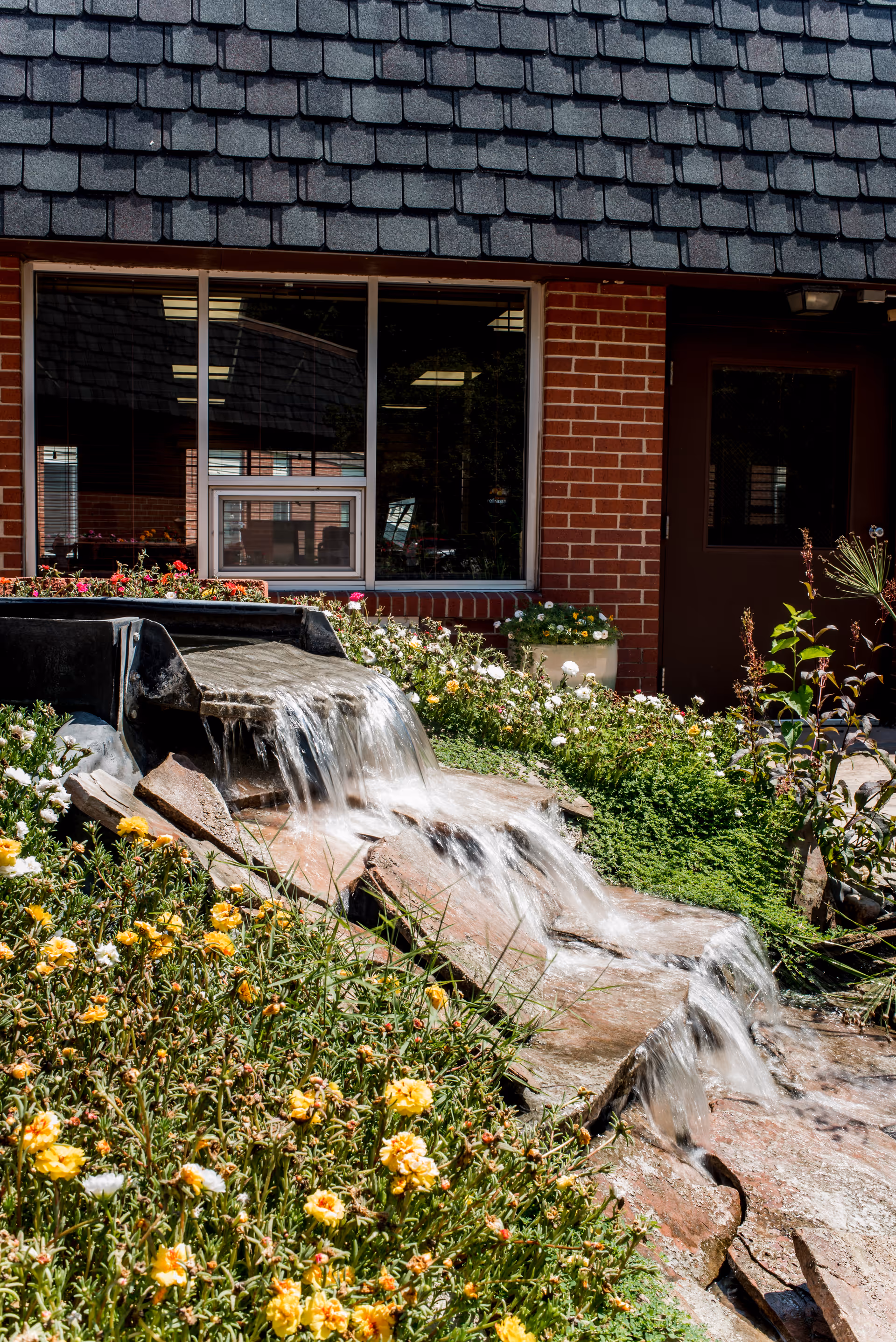 Outdoor garden area with a small cascading water feature surrounded by yellow and white flowers in front of a brick building with large windows and a dark shingled roof.