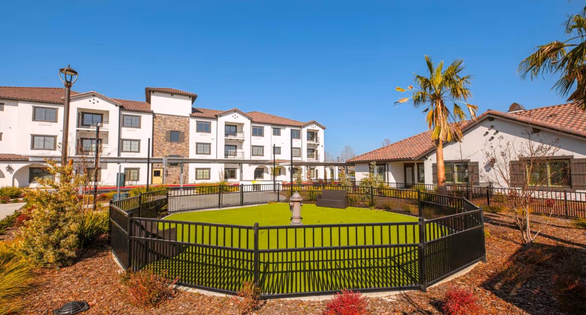 Outdoor view of The Park At Laguna Springs senior living facility showing a fenced green lawn area with a fire hydrant in the center, surrounded by landscaped plants, palm trees, and multi-story residential buildings with balconies under a clear blue sky.