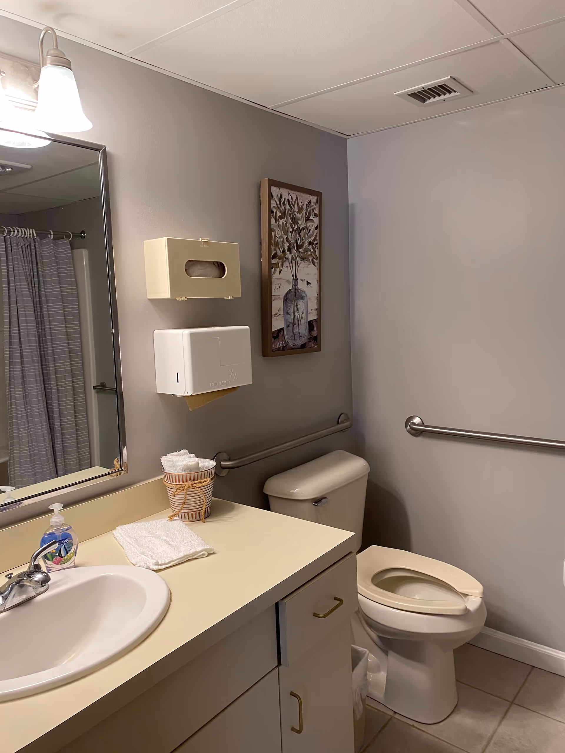 A clean bathroom with a white sink and countertop, a mirror with a light fixture above it, a toilet with a raised seat, grab bars on the walls, a shower with a striped curtain, a wall-mounted tissue dispenser, and a framed picture of a vase with flowers on the wall.