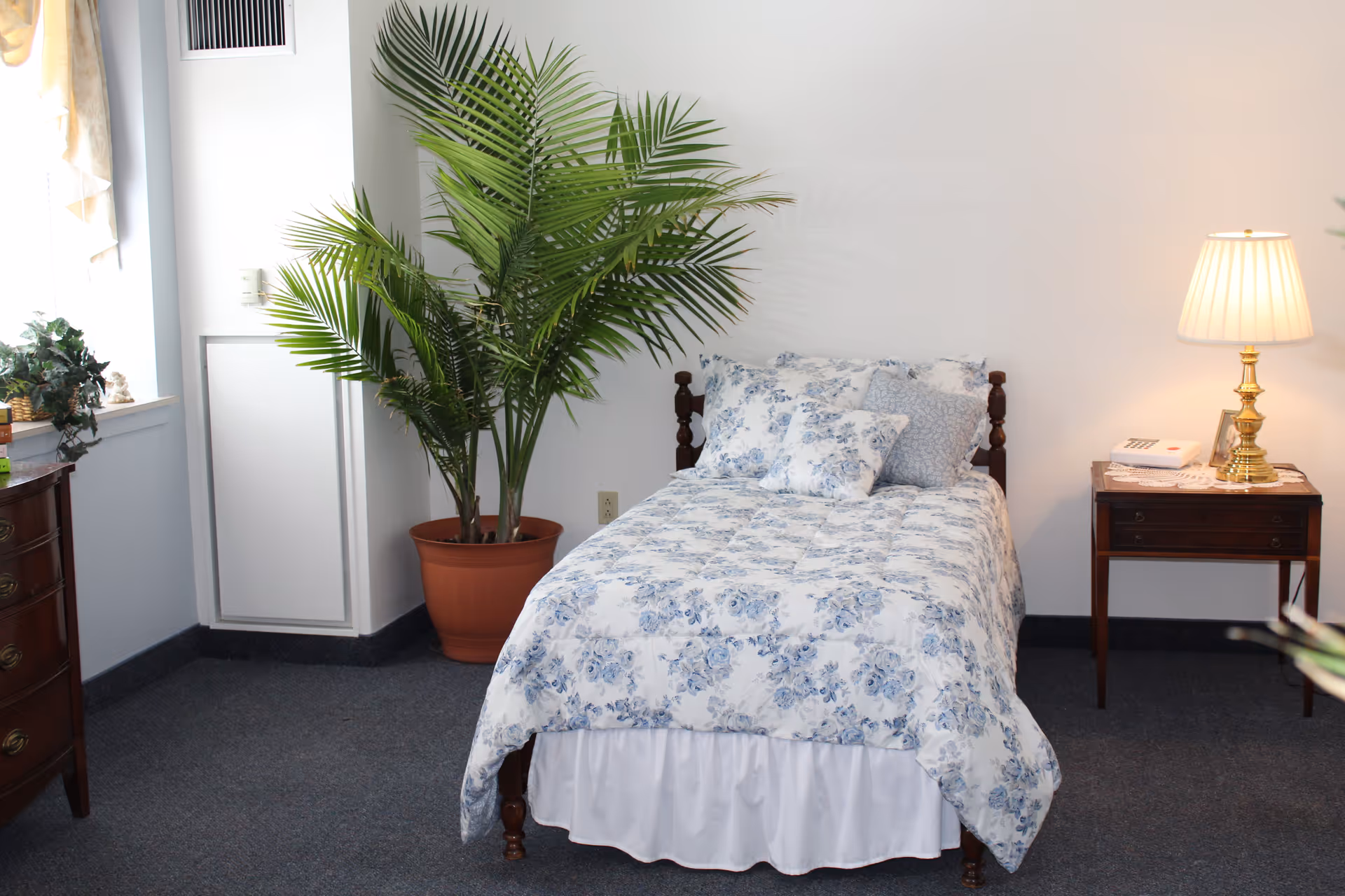 Single bed with blue floral bedding in a bright room flanked by a potted palm plant, a wooden nightstand with a lamp, and a dresser.
