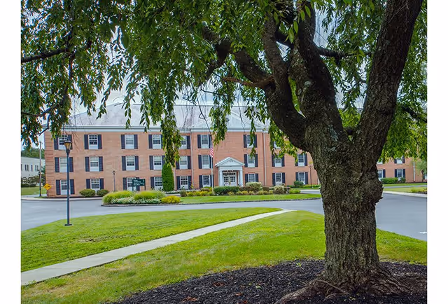 A large brick building with multiple windows and a central entrance, viewed from behind a tree with hanging branches. The building is surrounded by a well-maintained lawn, a sidewalk, and a paved driveway.