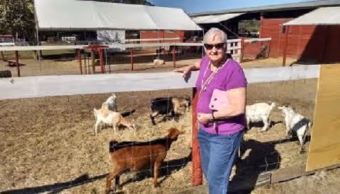 An elderly woman wearing sunglasses and a purple shirt stands next to a fenced area with several goats. Behind her are red barn-like structures and a covered outdoor area under a clear sky.