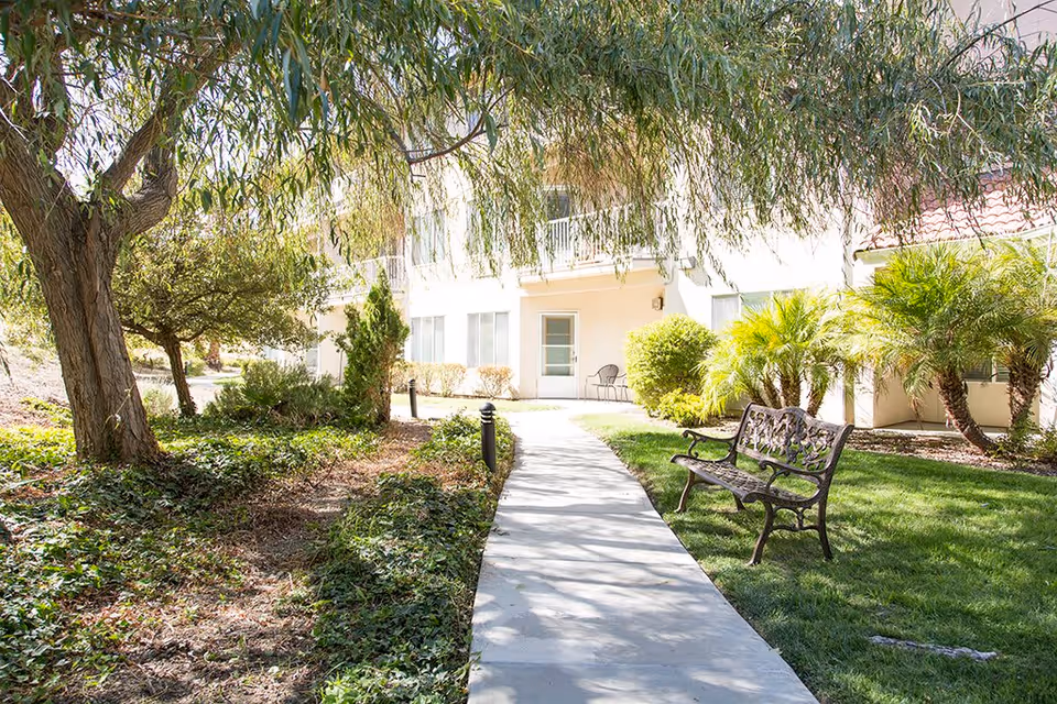 A sunny outdoor pathway lined with greenery including trees, bushes, and palm plants leading to the entrance of a light-colored building. There is a decorative metal bench on the right side of the path and two chairs near the building entrance.