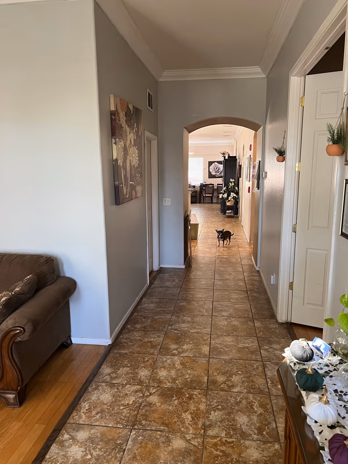 A long hallway with brown tiled floor leading to a dining area. On the left side, part of a brown couch is visible. On the right side, there is a white door and a small table with decorative pumpkins and plants. A small dog stands in the middle of the hallway. The walls are painted light gray and there is a floral painting hanging on the left wall.