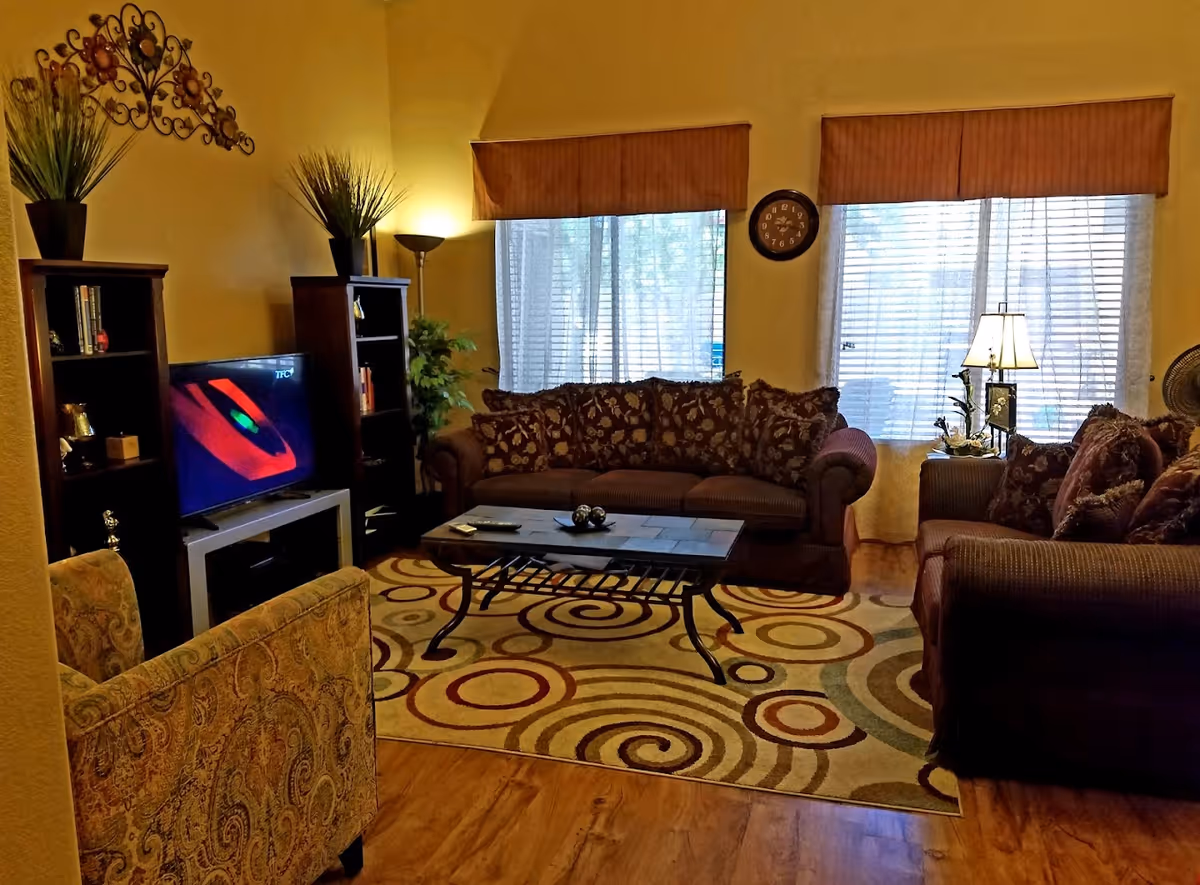 A cozy living room with two brown patterned sofas, a patterned armchair, a coffee table with decorative items, a TV on a stand between two bookshelves, a floor lamp, a table lamp on a side table, and two large windows with blinds and valances. The room has wooden flooring and a colorful circular patterned rug.
